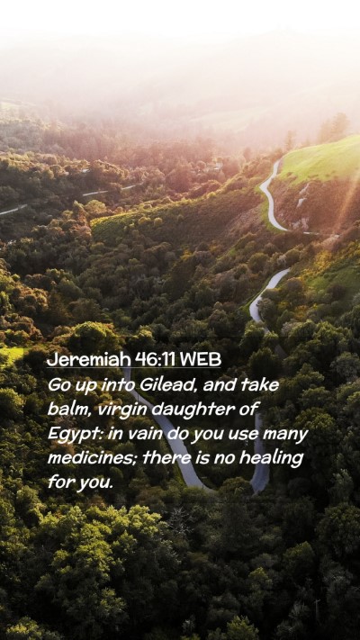 Picture 02 - Jeremiah 46:11 WEB Mobile Phone Wallpaper - Go up into Gilead, and take balm, virgin daughter - Mobile Bible Verse Wallpaper