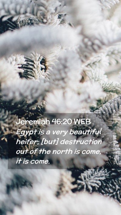 Picture 02 - Jeremiah 46:20 WEB Mobile Phone Wallpaper - Egypt is a very beautiful heifer; [but] - Mobile Bible Verse Wallpaper