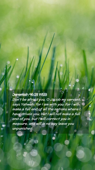 Picture 02 - Jeremiah 46:28 WEB Mobile Phone Wallpaper - Don't be afraid you, O Jacob my servant, says - Mobile Bible Verse Wallpaper