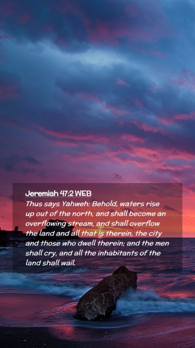 Picture 02 - Jeremiah 47:2 WEB Mobile Phone Wallpaper - Thus says Yahweh: Behold, waters rise up out of - Mobile Bible Verse Wallpaper