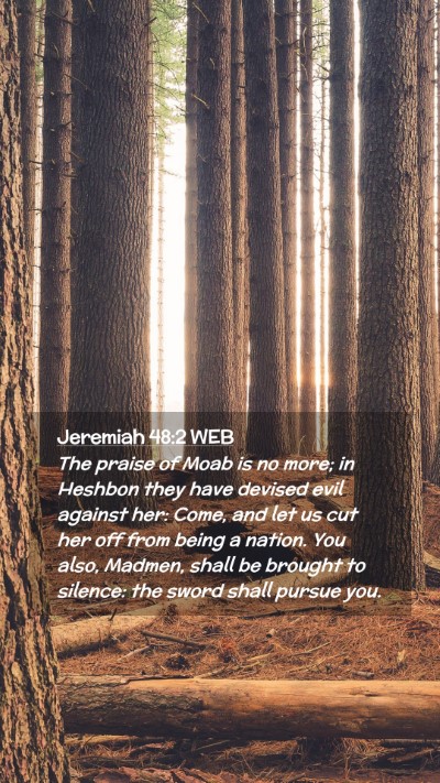 Picture 02 - Jeremiah 48:2 WEB Mobile Phone Wallpaper - The praise of Moab is no more; in Heshbon they - Mobile Bible Verse Wallpaper