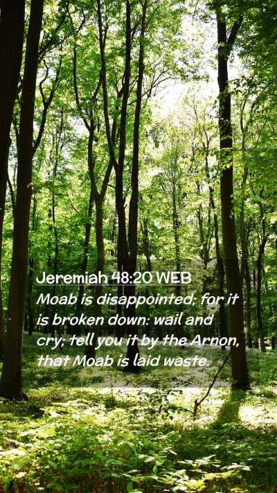 Picture 02 - Jeremiah 48:20 WEB Mobile Phone Wallpaper - Moab is disappointed; for it is broken down: wail - Mobile Bible Verse Wallpaper