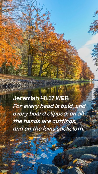 Picture 02 - Jeremiah 48:37 WEB Mobile Phone Wallpaper - For every head is bald, and every beard clipped: - Mobile Bible Verse Wallpaper