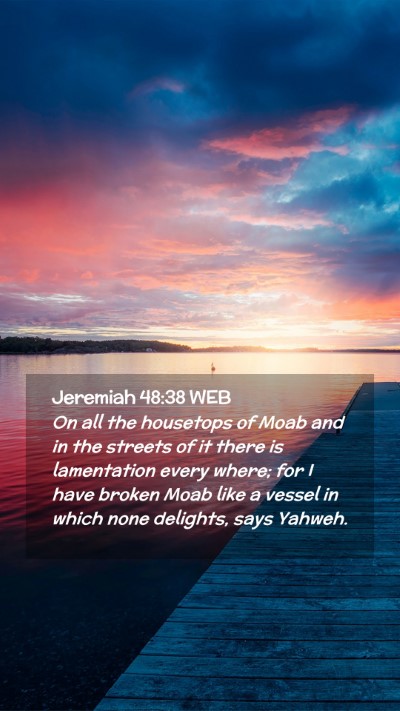 Picture 02 - Jeremiah 48:38 WEB Mobile Phone Wallpaper - On all the housetops of Moab and in the streets - Mobile Bible Verse Wallpaper