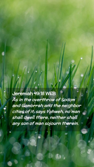 Picture 02 - Jeremiah 49:18 WEB Mobile Phone Wallpaper - As in the overthrow of Sodom and Gomorrah and the - Mobile Bible Verse Wallpaper