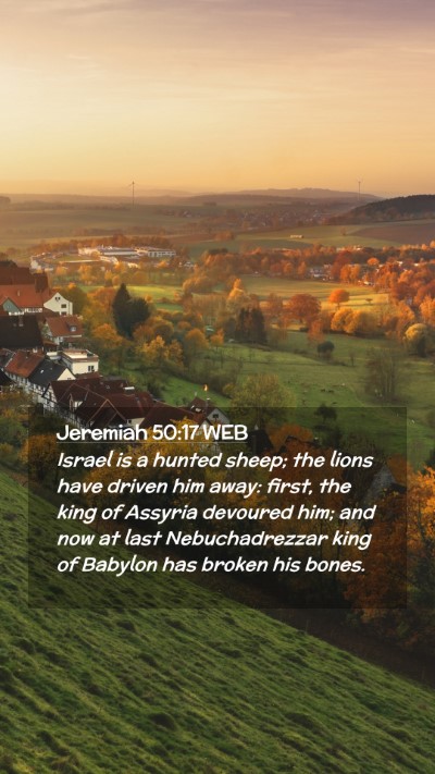 Picture 02 - Jeremiah 50:17 WEB Mobile Phone Wallpaper - Israel is a hunted sheep; the lions have driven - Mobile Bible Verse Wallpaper