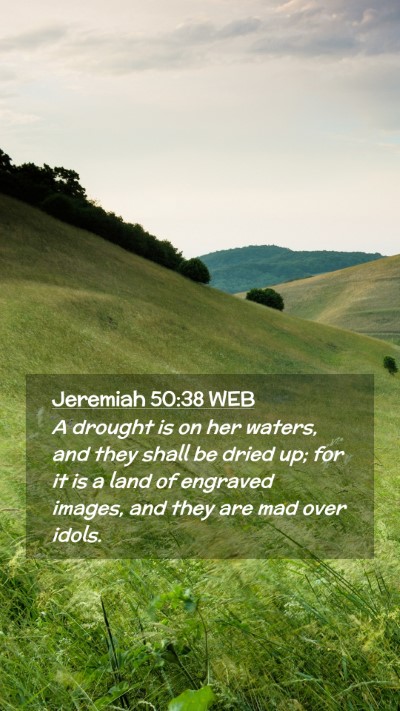 Picture 02 - Jeremiah 50:38 WEB Mobile Phone Wallpaper - A drought is on her waters, and they shall be - Mobile Bible Verse Wallpaper
