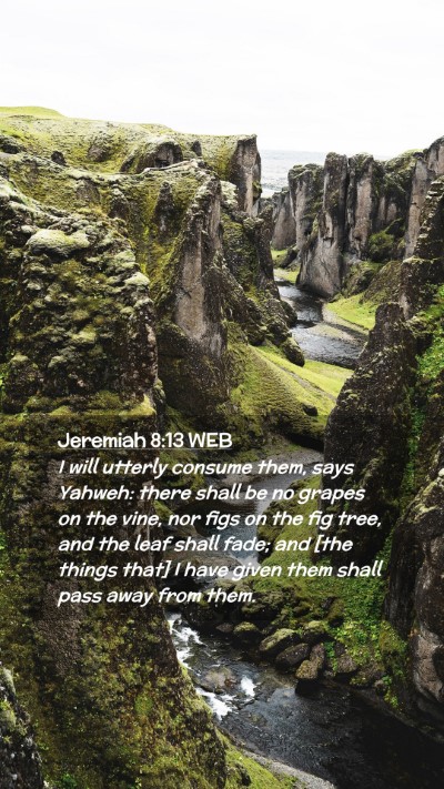 Picture 02 - Jeremiah 8:13 WEB Mobile Phone Wallpaper - I will utterly consume them, says Yahweh: there - Mobile Bible Verse Wallpaper