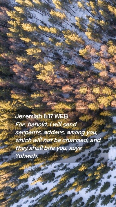 Picture 02 - Jeremiah 8:17 WEB Mobile Phone Wallpaper - For, behold, I will send serpents, adders, among - Mobile Bible Verse Wallpaper