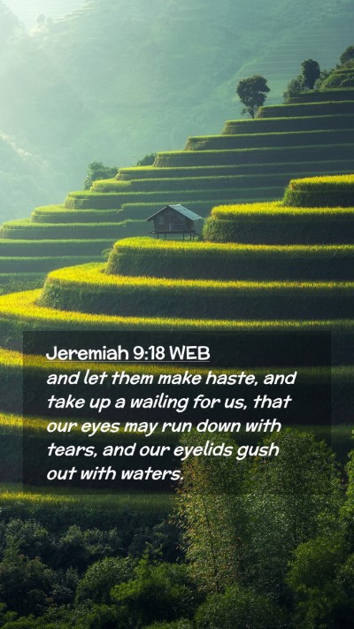 Picture 02 - Jeremiah 9:18 WEB Mobile Phone Wallpaper - and let them make haste, and take up a wailing - Mobile Bible Verse Wallpaper