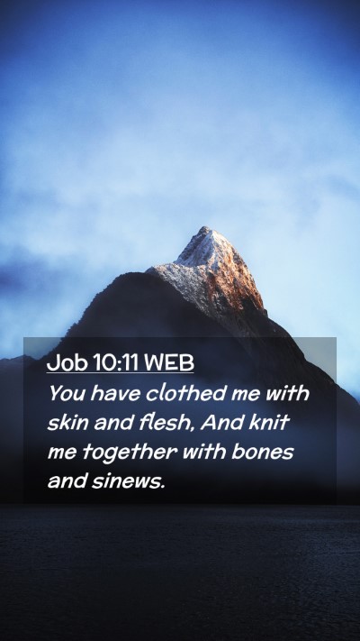 Picture 02 - Job 10:11 WEB Mobile Phone Wallpaper - You have clothed me with skin and flesh, And knit - Mobile Bible Verse Wallpaper