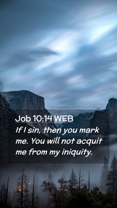 Picture 02 - Job 10:14 WEB Mobile Phone Wallpaper - If I sin, then you mark me. You will not acquit - Mobile Bible Verse Wallpaper