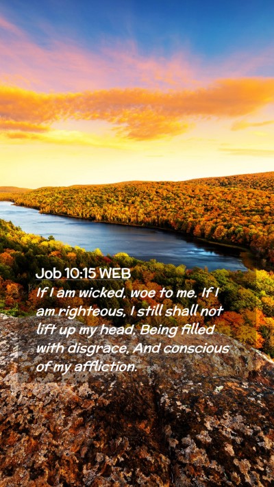 Picture 02 - Job 10:15 WEB Mobile Phone Wallpaper - If I am wicked, woe to me. If I am righteous, I - Mobile Bible Verse Wallpaper