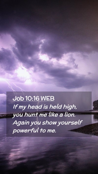 Picture 02 - Job 10:16 WEB Mobile Phone Wallpaper - If my head is held high, you hunt me like a lion. - Mobile Bible Verse Wallpaper