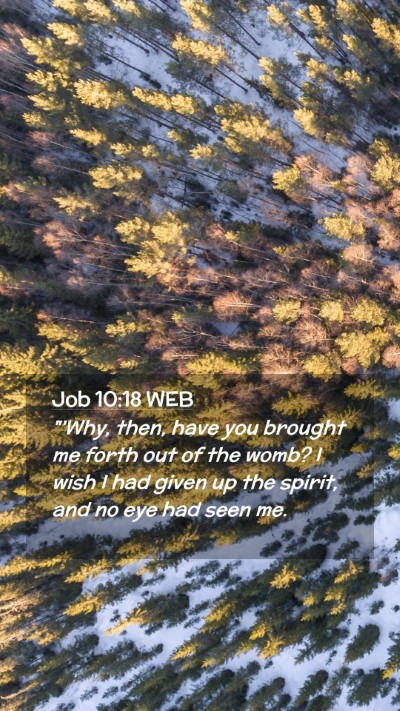 Picture 02 - Job 10:18 WEB Mobile Phone Wallpaper - 