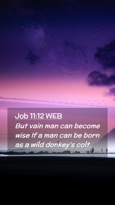 Picture 02 - Job 11:12 WEB Mobile Phone Wallpaper - But vain man can become wise If a man can be born - Mobile Bible Verse Wallpaper