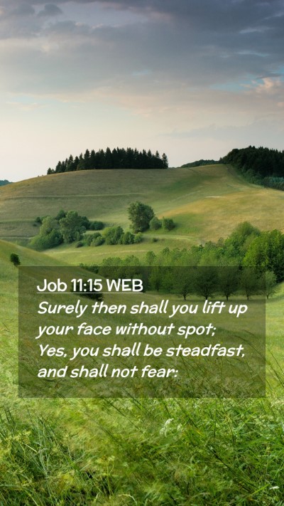Picture 02 - Job 11:15 WEB Mobile Phone Wallpaper - Surely then shall you lift up your face without - Mobile Bible Verse Wallpaper