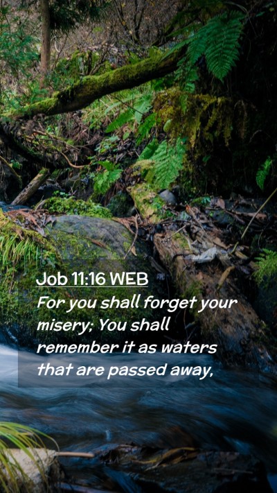 Picture 02 - Job 11:16 WEB Mobile Phone Wallpaper - For you shall forget your misery; You shall - Mobile Bible Verse Wallpaper