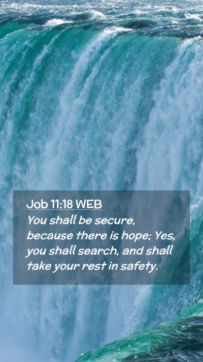 Picture 02 - Job 11:18 WEB Mobile Phone Wallpaper - You shall be secure, because there is hope; Yes, - Mobile Bible Verse Wallpaper