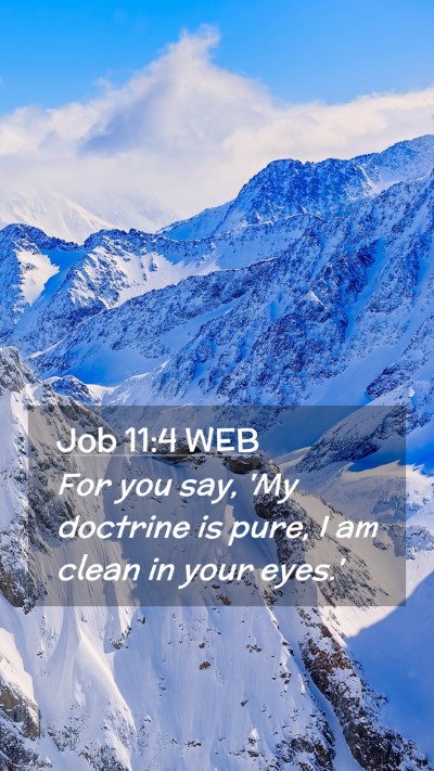 Picture 02 - Job 11:4 WEB Mobile Phone Wallpaper - For you say, 'My doctrine is pure, I am clean in - Mobile Bible Verse Wallpaper