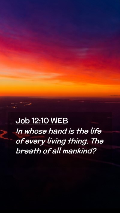Picture 02 - Job 12:10 WEB Mobile Phone Wallpaper - In whose hand is the life of every living thing, - Mobile Bible Verse Wallpaper