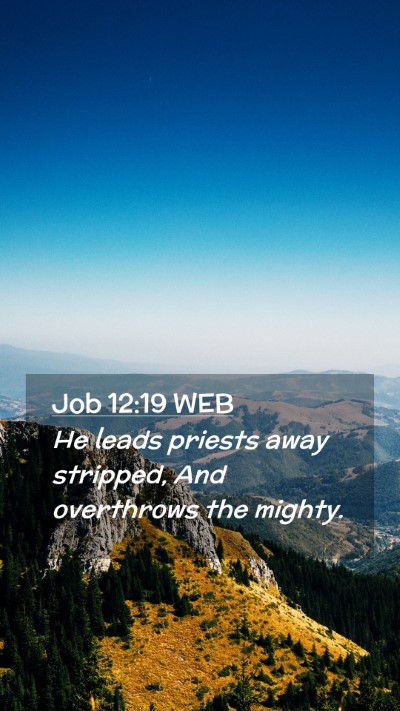 Picture 02 - Job 12:19 WEB Mobile Phone Wallpaper - He leads priests away stripped, And overthrows - Mobile Bible Verse Wallpaper