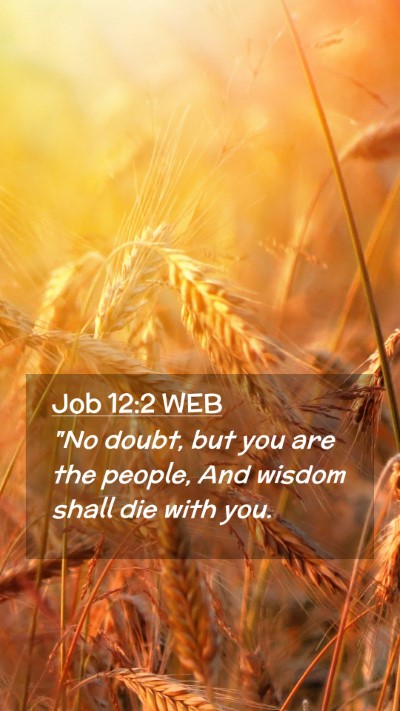 Picture 02 - Job 12:2 WEB Mobile Phone Wallpaper - 