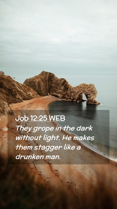 Picture 02 - Job 12:25 WEB Mobile Phone Wallpaper - They grope in the dark without light. He makes - Mobile Bible Verse Wallpaper