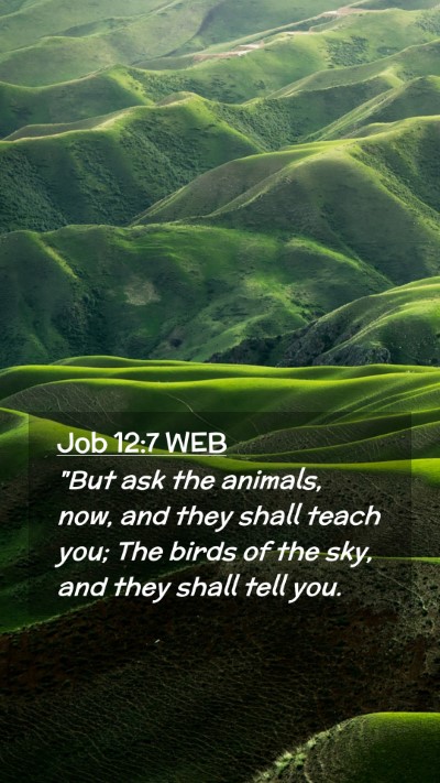 Picture 02 - Job 12:7 WEB Mobile Phone Wallpaper - 