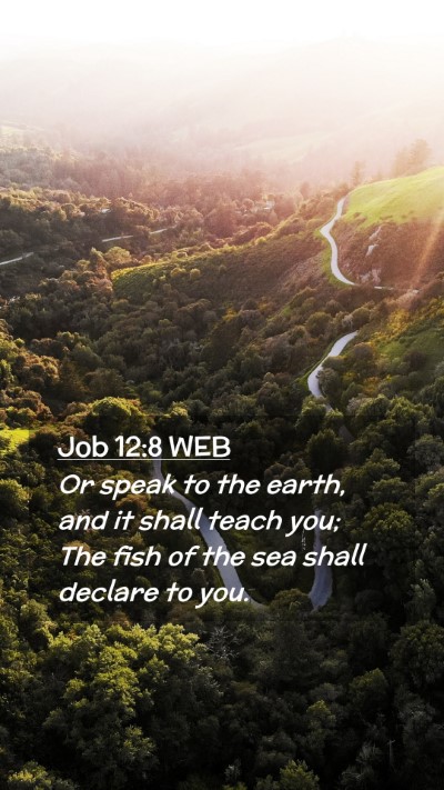 Picture 02 - Job 12:8 WEB Mobile Phone Wallpaper - Or speak to the earth, and it shall teach you; - Mobile Bible Verse Wallpaper