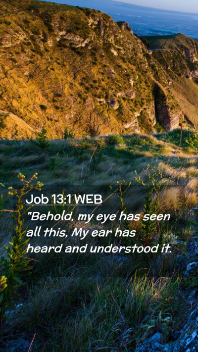 Picture 02 - Job 13:1 WEB Mobile Phone Wallpaper - 