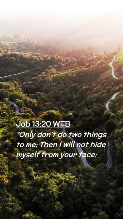 Picture 02 - Job 13:20 WEB Mobile Phone Wallpaper - 