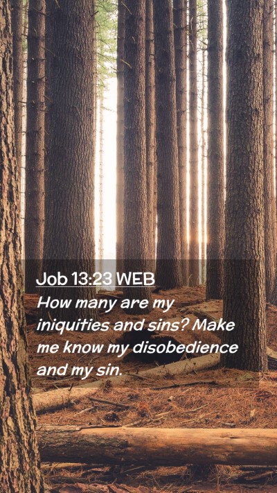 Picture 02 - Job 13:23 WEB Mobile Phone Wallpaper - How many are my iniquities and sins? Make me know - Mobile Bible Verse Wallpaper