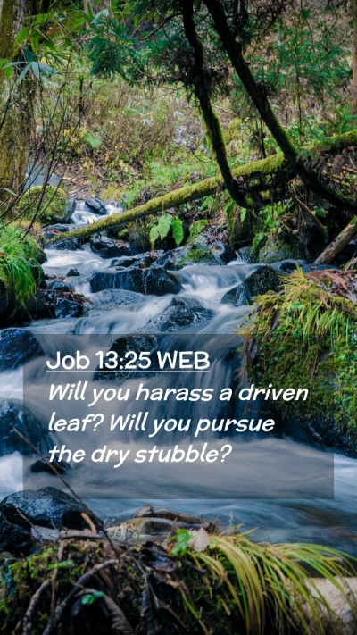 Picture 02 - Job 13:25 WEB Mobile Phone Wallpaper - Will you harass a driven leaf? Will you pursue - Mobile Bible Verse Wallpaper