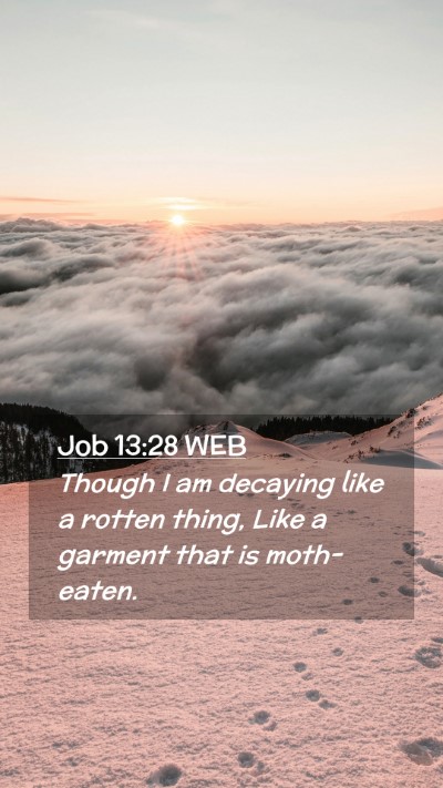 Picture 02 - Job 13:28 WEB Mobile Phone Wallpaper - Though I am decaying like a rotten thing, Like a - Mobile Bible Verse Wallpaper