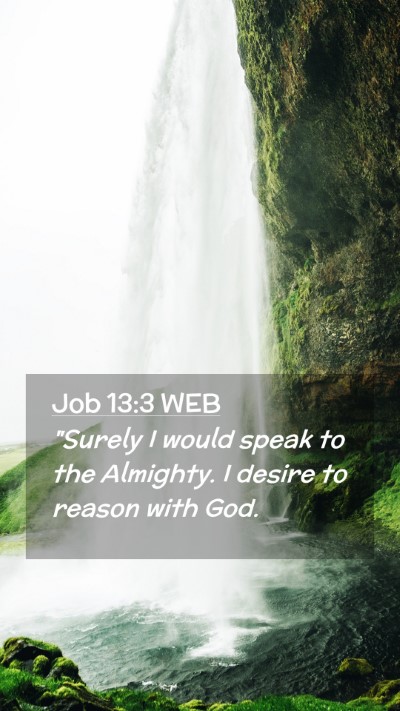 Picture 02 - Job 13:3 WEB Mobile Phone Wallpaper - 