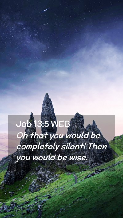 Picture 02 - Job 13:5 WEB Mobile Phone Wallpaper - Oh that you would be completely silent! Then you - Mobile Bible Verse Wallpaper