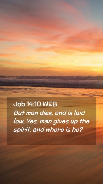 Picture 02 - Job 14:10 WEB Mobile Phone Wallpaper - But man dies, and is laid low. Yes, man gives up - Mobile Bible Verse Wallpaper