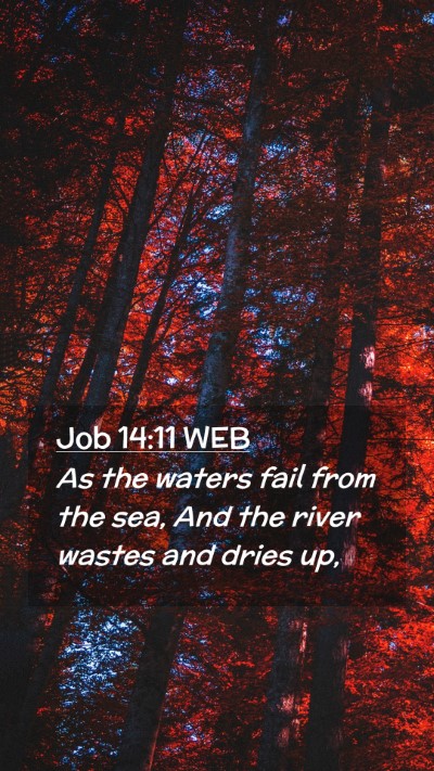Picture 02 - Job 14:11 WEB Mobile Phone Wallpaper - As the waters fail from the sea, And the river - Mobile Bible Verse Wallpaper