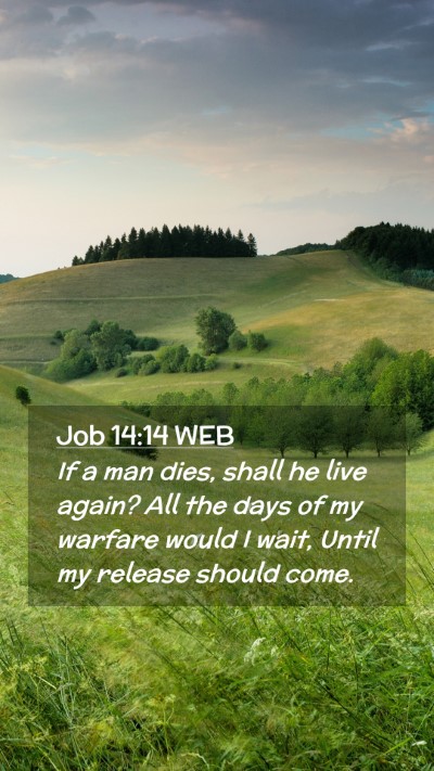Picture 02 - Job 14:14 WEB Mobile Phone Wallpaper - If a man dies, shall he live again? All the days - Mobile Bible Verse Wallpaper