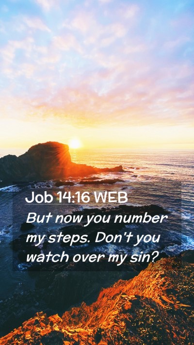 Picture 02 - Job 14:16 WEB Mobile Phone Wallpaper - But now you number my steps. Don't you watch over - Mobile Bible Verse Wallpaper