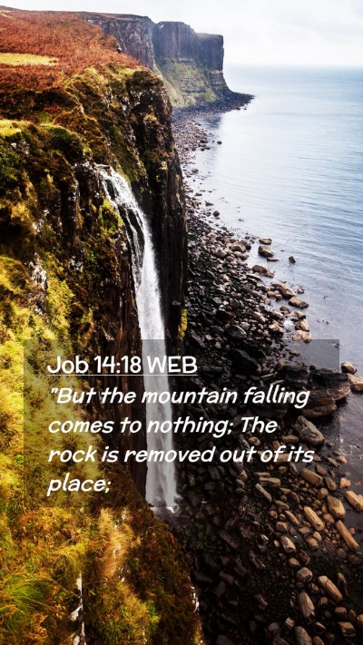 Picture 02 - Job 14:18 WEB Mobile Phone Wallpaper - 