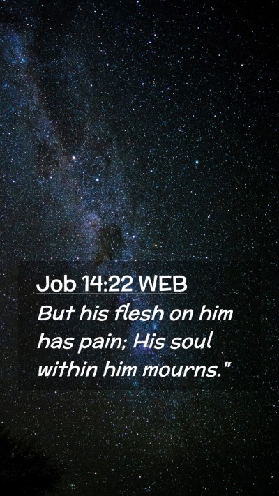 Picture 02 - Job 14:22 WEB Mobile Phone Wallpaper - But his flesh on him has pain; His soul within - Mobile Bible Verse Wallpaper