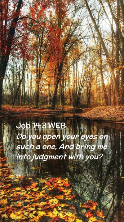 Picture 02 - Job 14:3 WEB Mobile Phone Wallpaper - Do you open your eyes on such a one, And bring me - Mobile Bible Verse Wallpaper