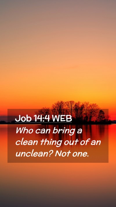 Picture 02 - Job 14:4 WEB Mobile Phone Wallpaper - Who can bring a clean thing out of an unclean? - Mobile Bible Verse Wallpaper