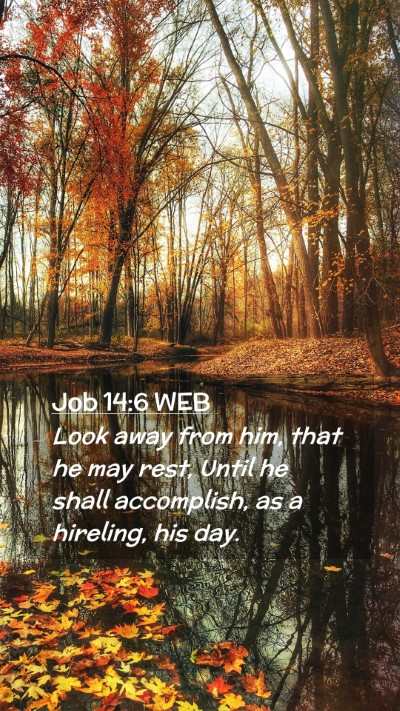 Picture 02 - Job 14:6 WEB Mobile Phone Wallpaper - Look away from him, that he may rest, Until he - Mobile Bible Verse Wallpaper