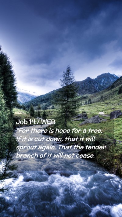 Picture 02 - Job 14:7 WEB Mobile Phone Wallpaper - 
