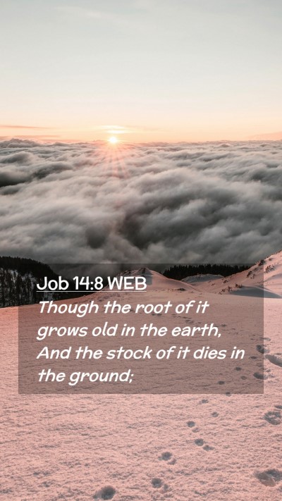 Picture 02 - Job 14:8 WEB Mobile Phone Wallpaper - Though the root of it grows old in the earth, And - Mobile Bible Verse Wallpaper