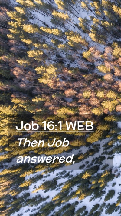 Picture 02 - Job 16:1 WEB Mobile Phone Wallpaper - Then Job - Mobile Bible Verse Wallpaper
