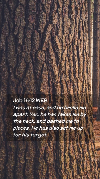 Picture 02 - Job 16:12 WEB Mobile Phone Wallpaper - I was at ease, and he broke me apart. Yes, he has - Mobile Bible Verse Wallpaper
